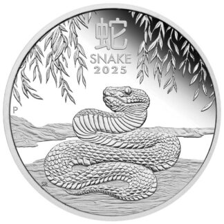 2oz Year of the Snake Silver Coin - Perth Mint