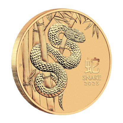 2oz Year of the Snake Gold Coin - Perth Mint - Image 2