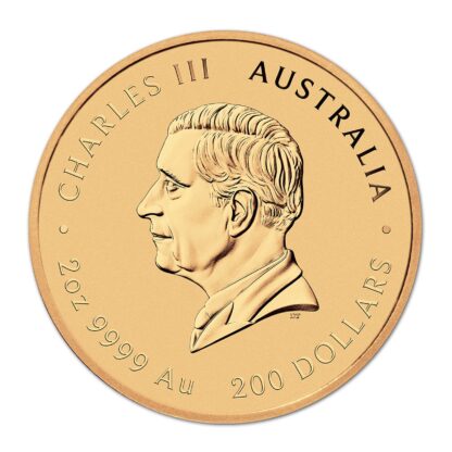2oz Year of the Snake Gold Coin - Perth Mint - Image 3