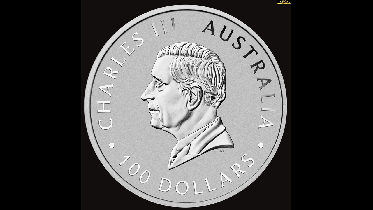 1oz Kangaroo Platinum Coin 2024 - Perth Mint - Image 2